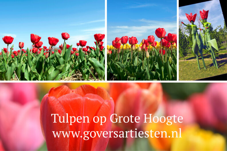 Tulpen op Grote Hoogte, Steltenact, steltentheater, steltenlopers, stelten, straattheater, voorjaar, moederdag, te boeken bij Govers Evenementen: www.goversartiesten.nl