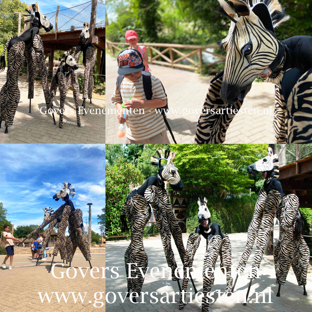 Zebra, zebra's. dieren op stelten, steltacts, stiltlife, steltenact, steltenacts, steltentheater, artiesten boeken, artiestenburo, artiestenbureau, straattheater op stelten, dierentuin, dierenact, dierentheater, theater voor kinderen, straattheateract, Govers Evenementen, evenement organiseren, thema act, straatfestival, www.goversartiesten.nl