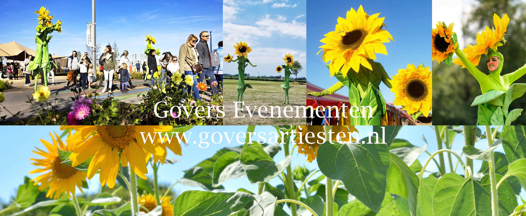 Zonnebloem, zonnebloemen, steltenact, steltentheater, steltenlopers, bloemen op stelten, zonnebloemen theateract, straattheater zonnebloemen, bloemen straattheater